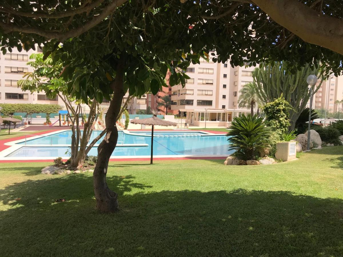 Playa Dos Avenidas アリカンテ エクステリア 写真